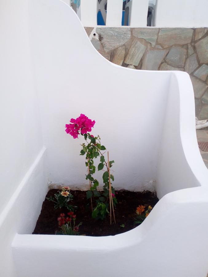 Thea Serifos Livadakia Esterno foto