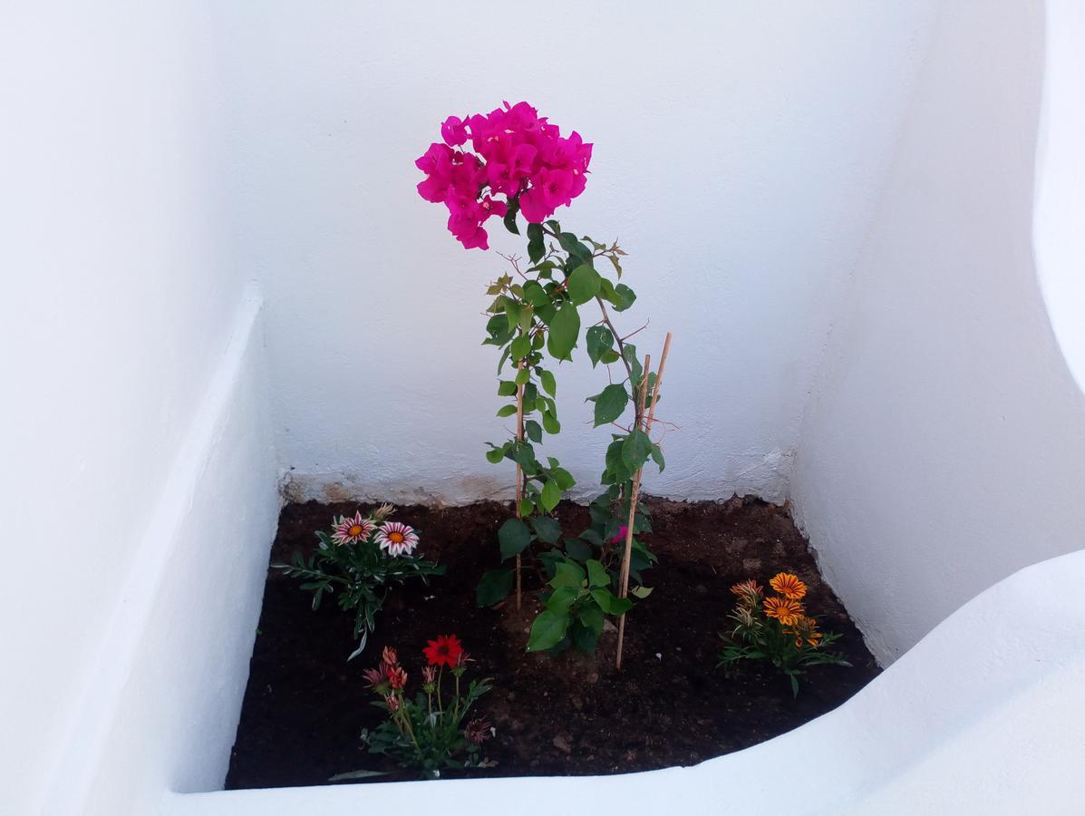 Thea Serifos Livadakia Esterno foto